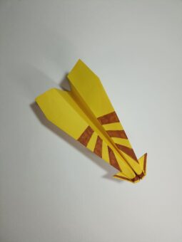 origami-canard-airplane