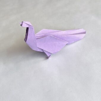 origami-peacock