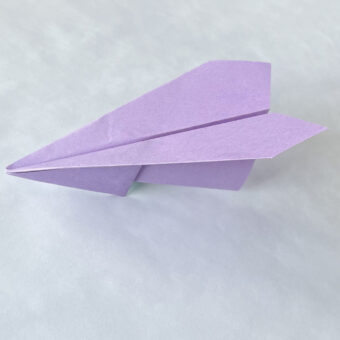 origami-raven-airplane